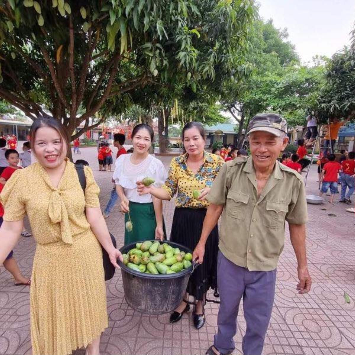 Thầy cô giáo hái xoài ngay trong khuôn viên trường tặng cho học trò ở buổi lễ tổng kết năm học Ảnh 1