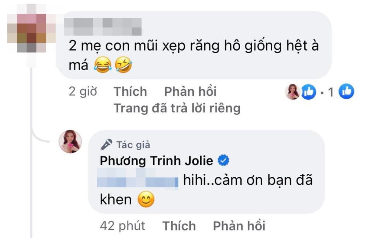 Đang mang thai tháng thứ 8, Phương Trinh Jolie đáp trả ngay và luôn khi bị chê bai nhan sắc Ảnh 2