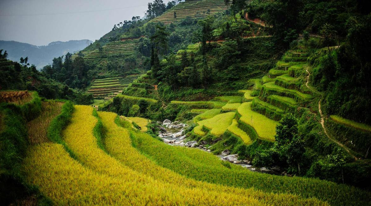 Hoàng Su Phì: Khúc du ca kiêu hãnh giữa đại ngàn khiến du khách miền xuôi say đắm Ảnh 1