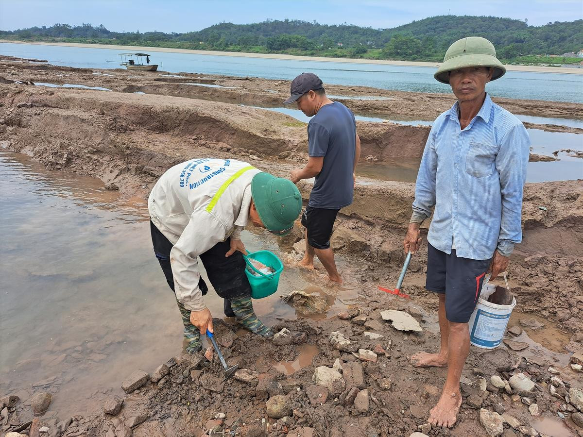 Sông Đà cạn trơ đáy, người đổ xô đi mò 'cổ vật' và cái kết ngỡ ngàng Ảnh 2