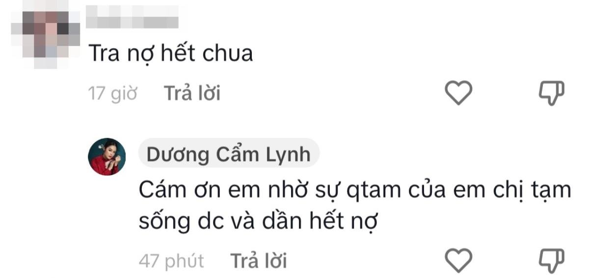 Dương Cẩm Lynh nói gì khi bị mỉa mai chuyện nợ nần? Ảnh 2