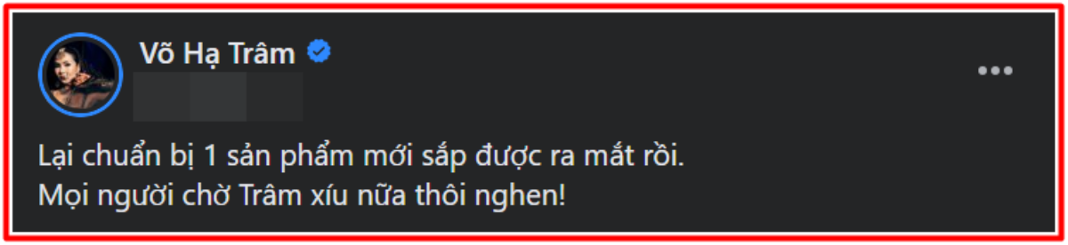 Võ Hạ Trâm tiếp tục 'thai nghén' sản phẩm mới: Liệu có vượt qua thành công của 'Về với em'? Ảnh 2