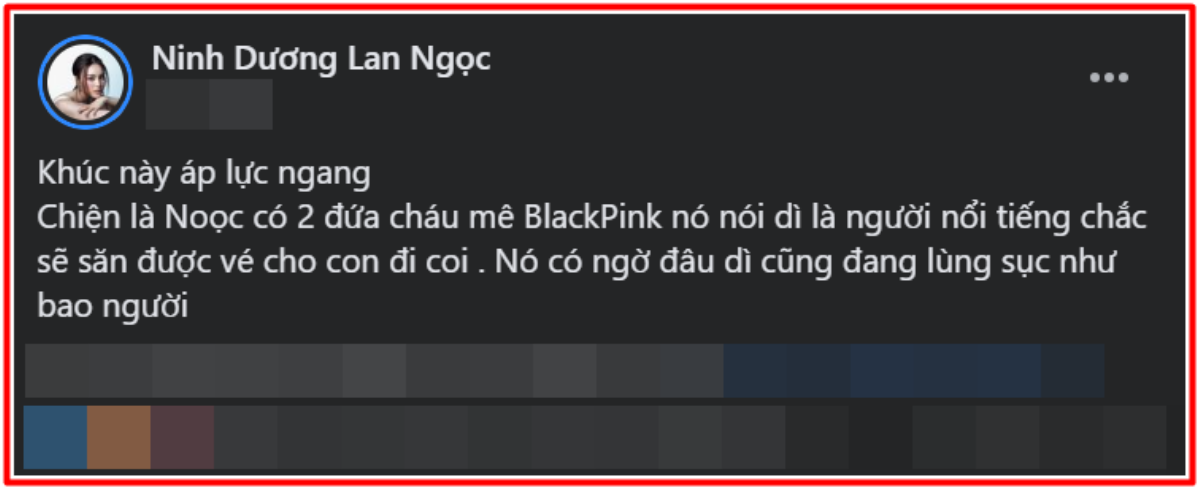 Concert BLACKPINK tại Hà Nội: Phạm Quỳnh Anh đăng đàn 'cầu cứu', Diệu Nhi bất ngờ không tham gia Ảnh 3