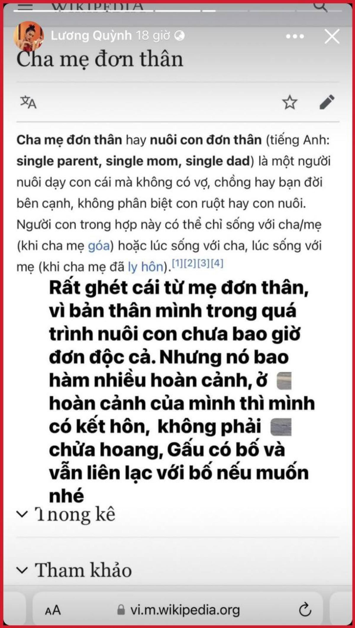 Quỳnh Lương: 'Tôi rất ghét cái từ mẹ đơn thân, con tôi có bố và vẫn liên lạc với bố nếu muốn' Ảnh 1