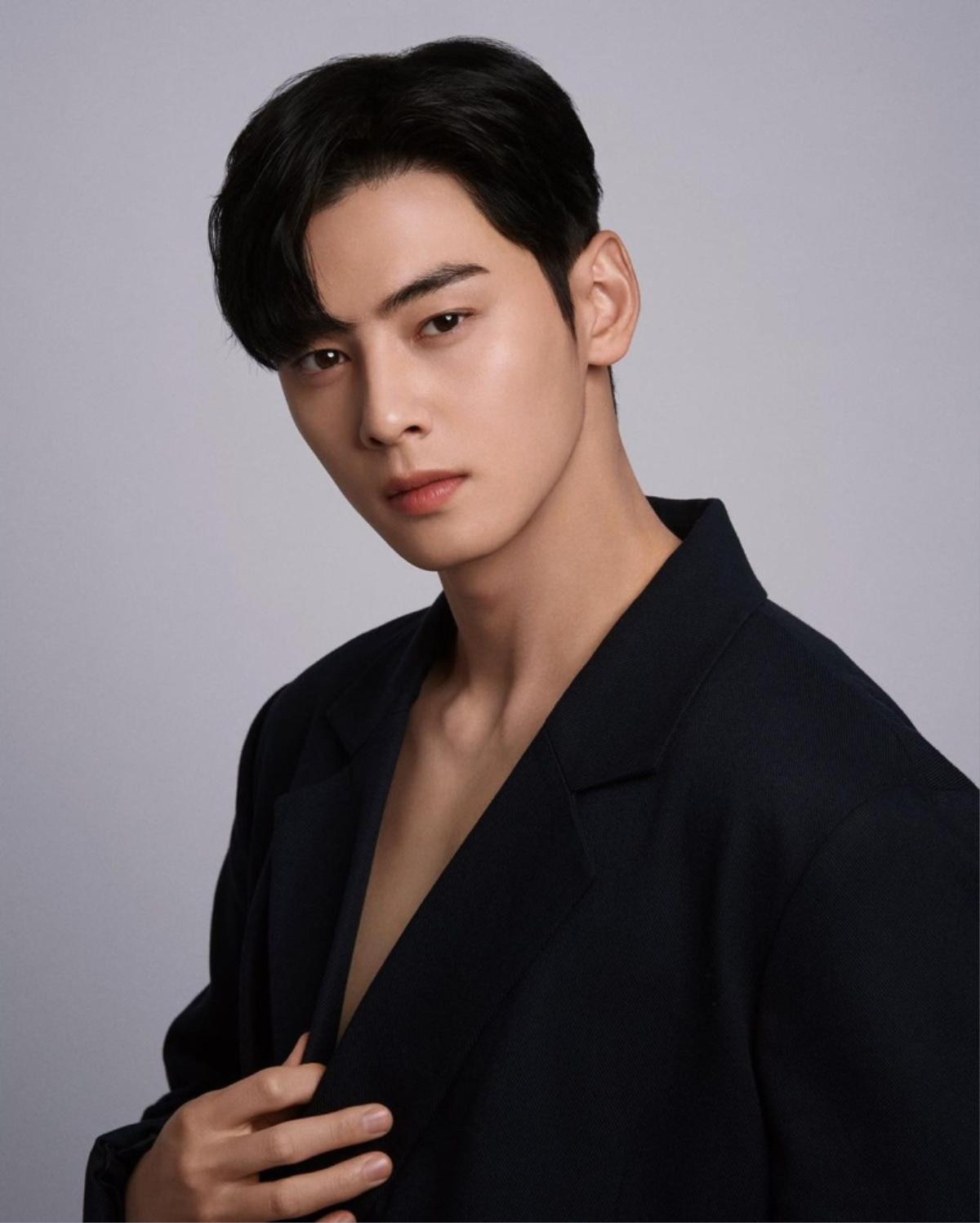 Không phải Cha Eun Woo, đây mới là 'nam thần đẹp nhất xứ Hàn' được các chuyên gia bình chọn Ảnh 4