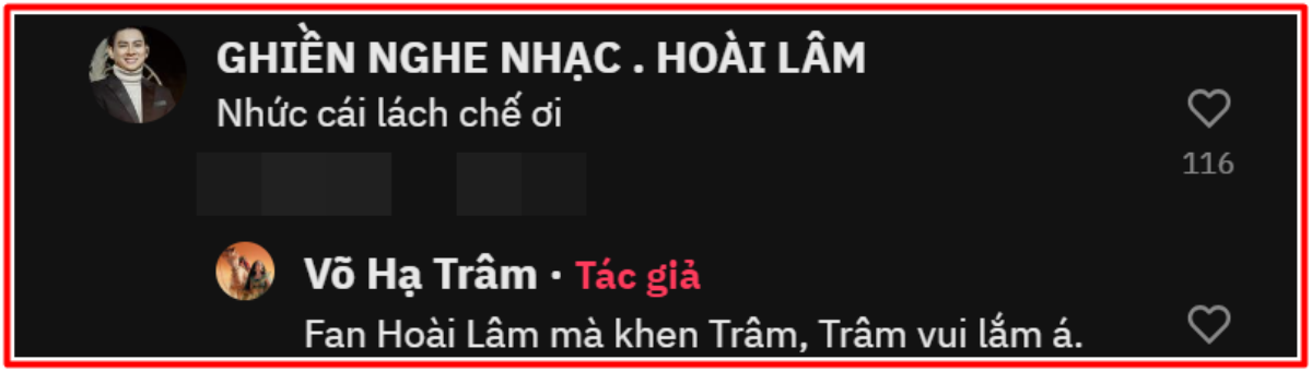 Fan Hoài Lâm trực tiếp để lại lời nhắn đến Võ Hạ Trâm: Nữ ca sĩ trả lời ra sao? Ảnh 3