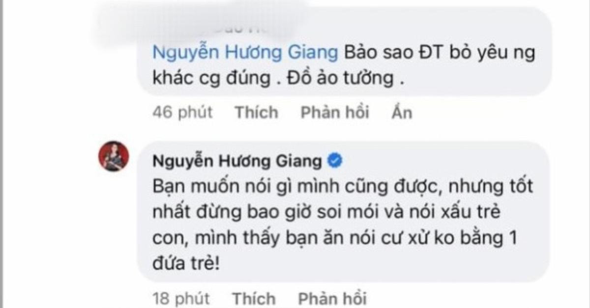 Bị anti-fan đụng đến chuyện nhạy cảm, Hương Giang đáp trả cực gắt Ảnh 3