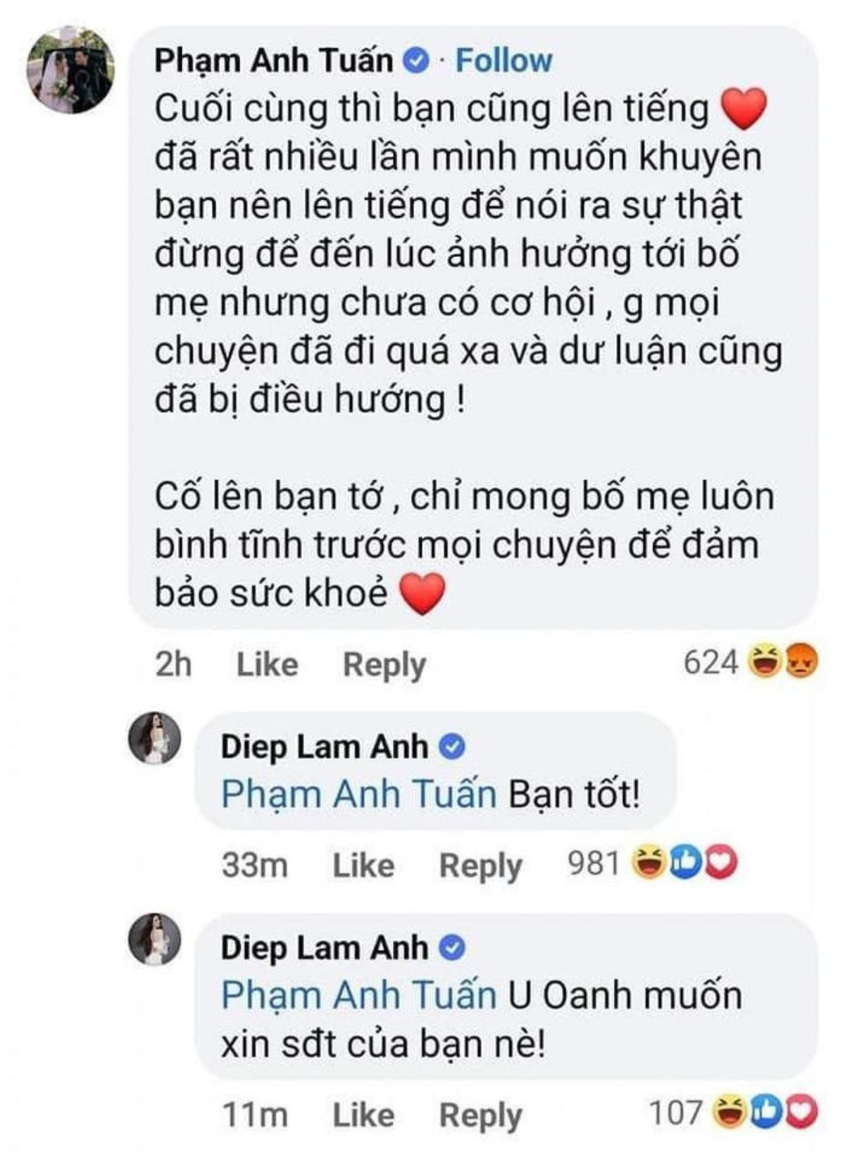 Vợ diễn viên Anh Tuấn 'Phố trong làng' bị tấn công sau phát ngôn tranh cãi của chồng Ảnh 1