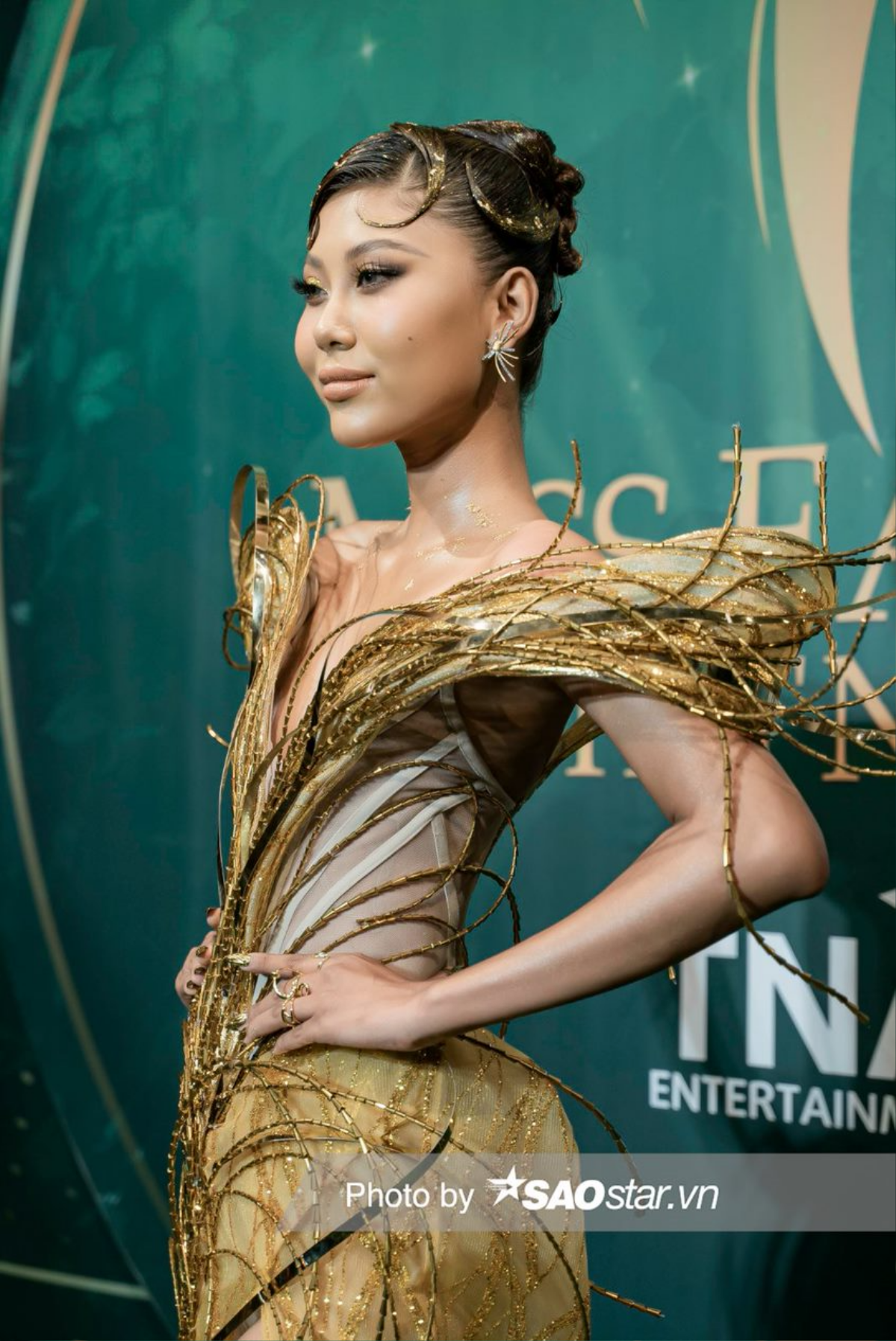 Thảm đỏ Miss Earth VN: Trương Ngọc Ánh được 'tình trẻ' tháp tùng không rời Ảnh 6