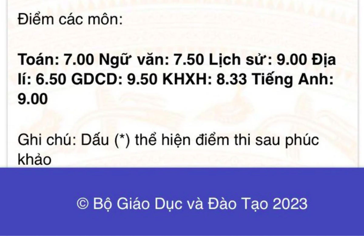 Lâm Thanh Mỹ đạt 3 điểm 9 thi THPT 2023, hé lộ dự định tương lai Ảnh 1