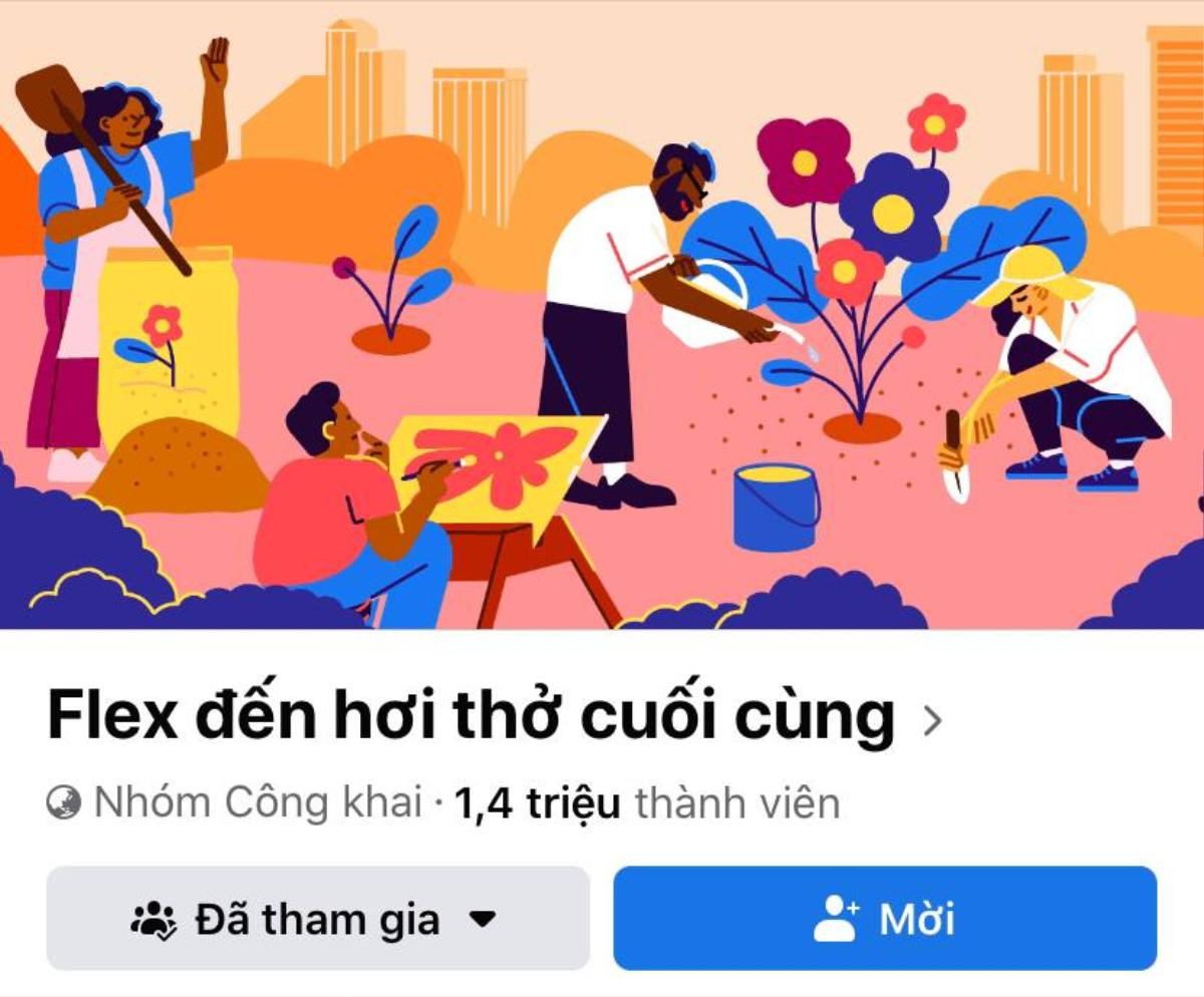 Tạm dừng hoạt động nhóm 'Flex đến hơi thở cuối cùng', lý do là gì? Ảnh 1