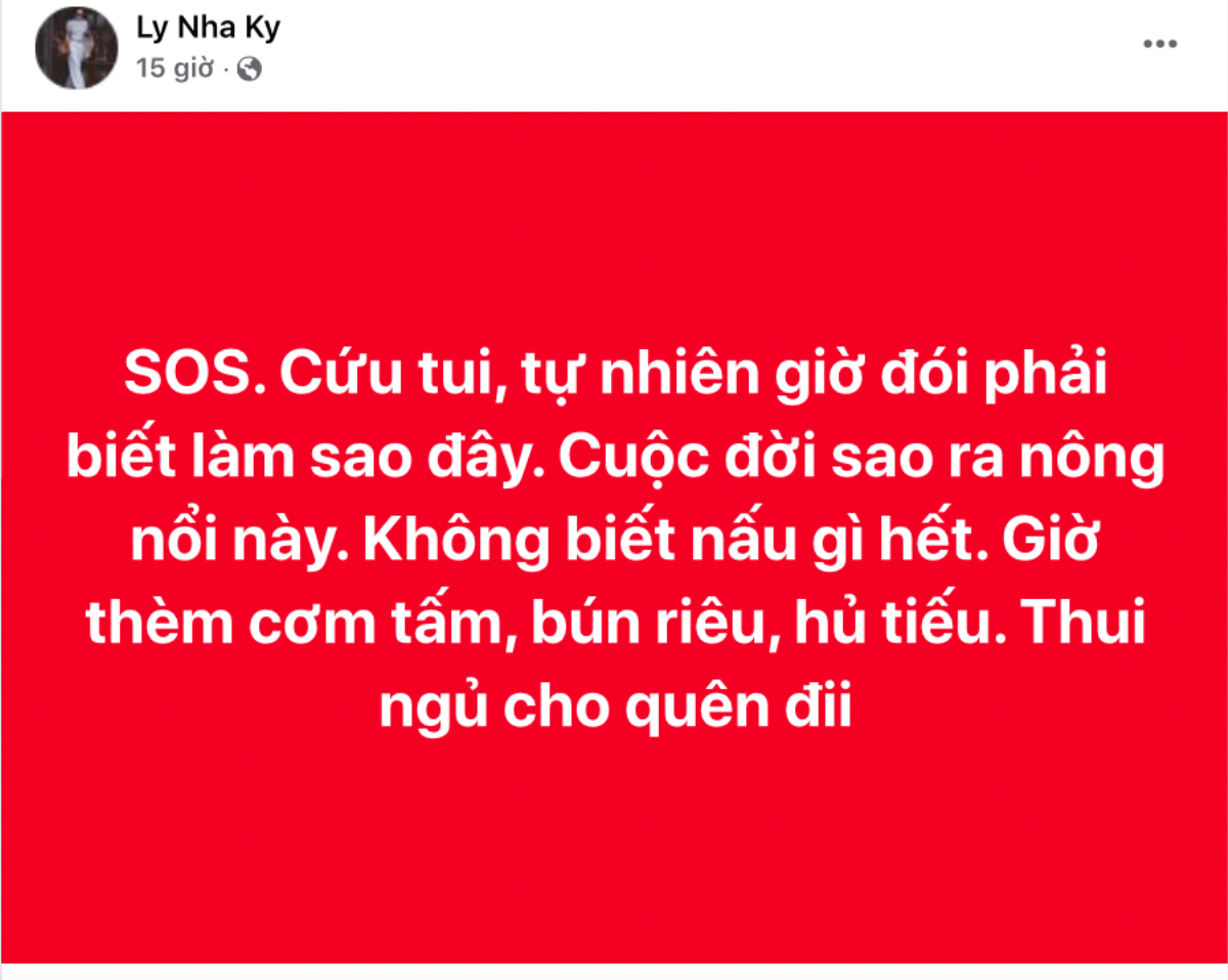 Lý Nhã Kỳ bất ngờ kêu cứu giữa đêm, bất lực: 'Cuộc đời sao ra nông nổi này' Ảnh 2