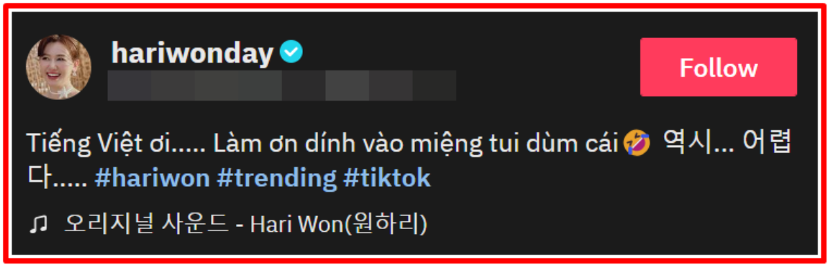 Sau nhiều lần bị chê cách hát lơ lớ, Hari Won quyết tâm phát âm rõ tiếng Việt Ảnh 2