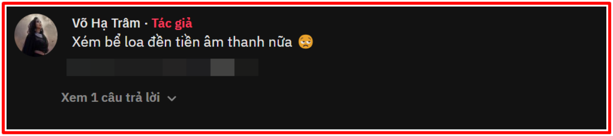 Võ Hạ Trâm suýt làm bể loa, đền tiền âm thanh khi chạy show: Nguyên nhân từ đâu? Ảnh 3