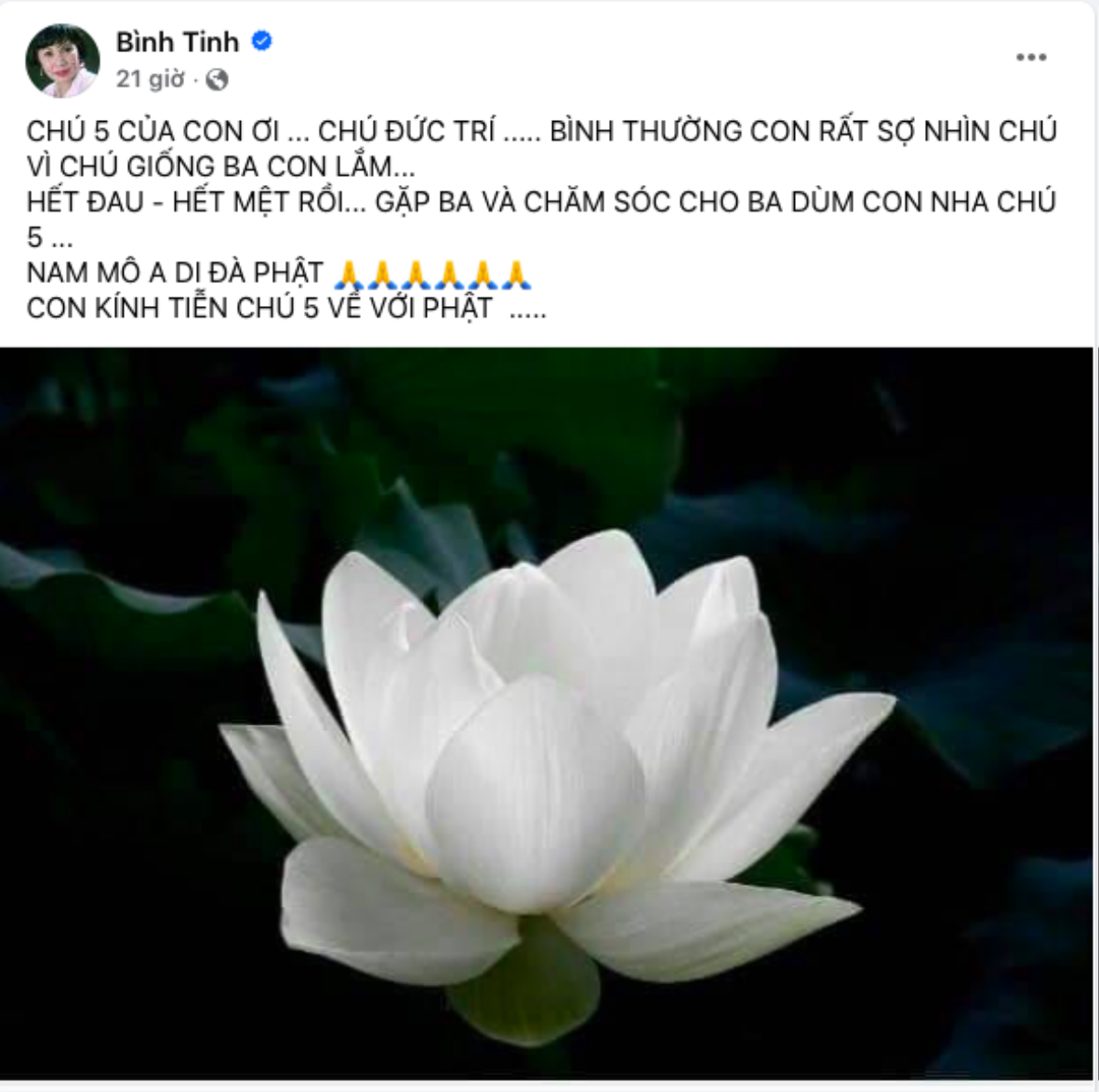 Bình Tinh thông báo tin tang sự, nhiều nghệ sĩ Việt gửi lời chia buồn Ảnh 1