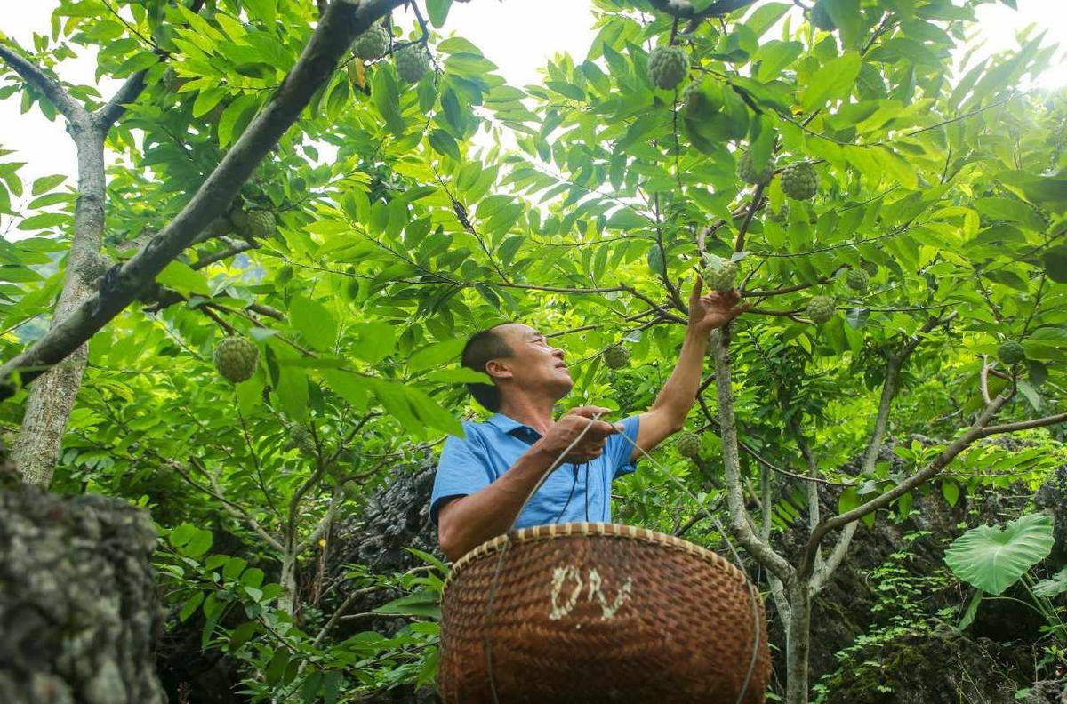 Khám phá quần thể du lịch Ải Chi Lăng: Cảnh quang hùng vĩ, chuỗi lễ hội hấp dẫn Ảnh 7