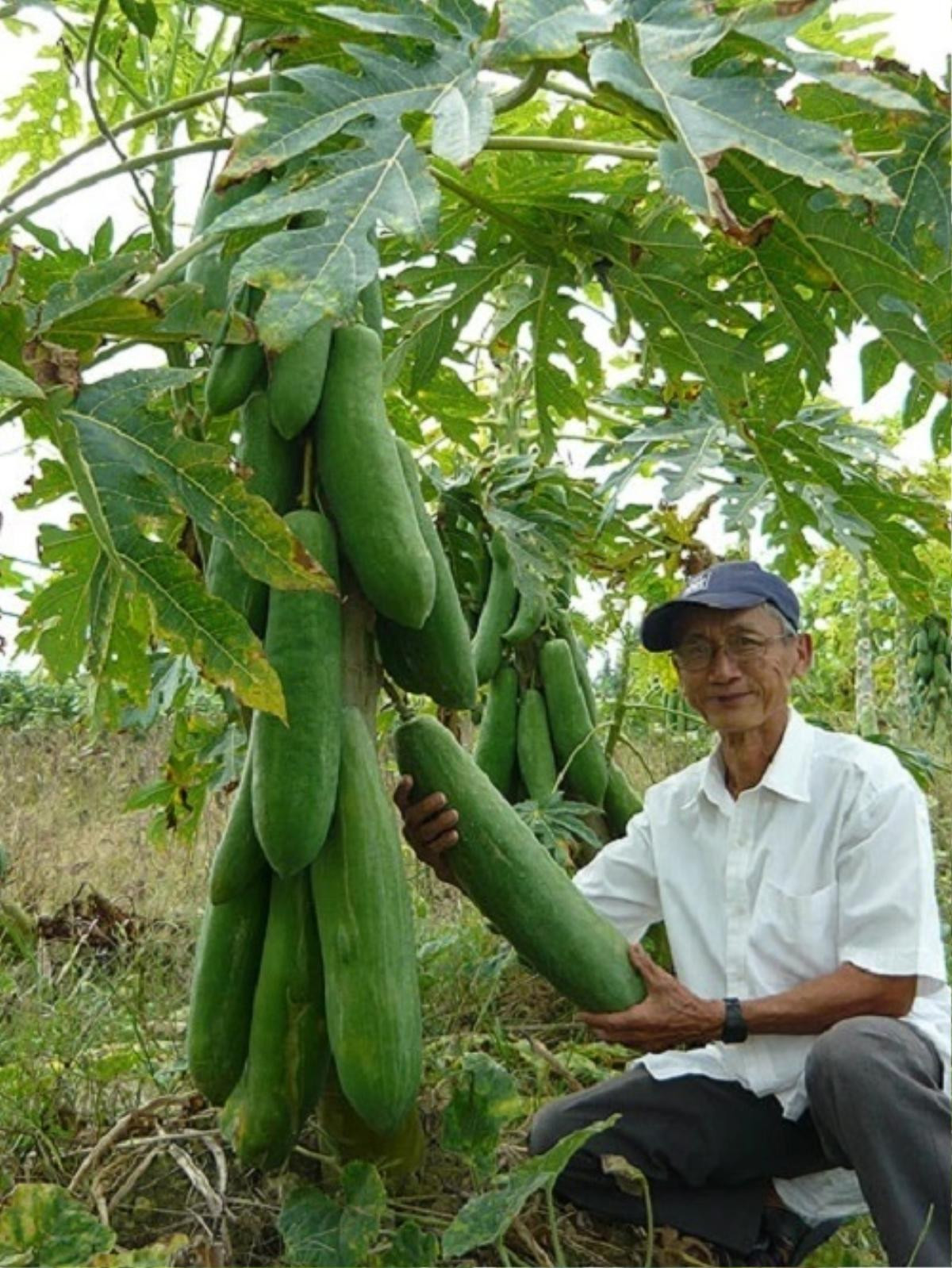 Những loại quả độc lạ nhất Việt Nam: Mít nửa tạ, na trăm triệu, chanh 3.5 kg... Ảnh 7