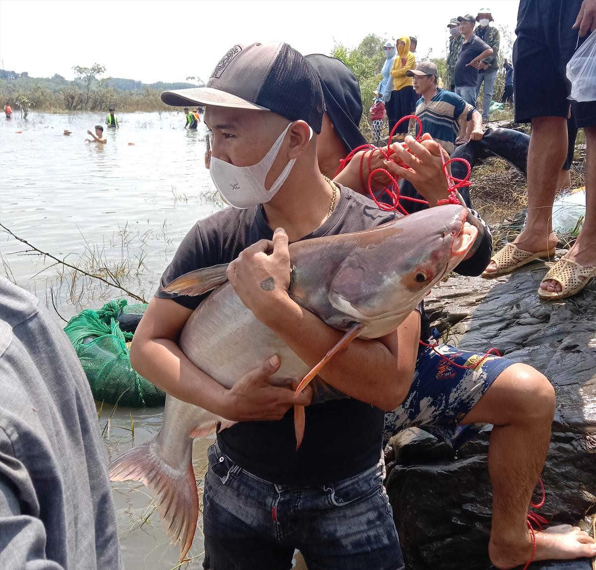 Người dân đổ xô vào thủy điện Trị An bắt cá 'khủng' Ảnh 4