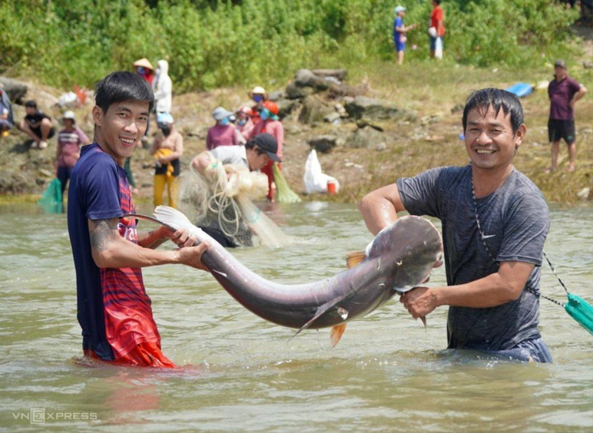 Người dân đổ xô vào thủy điện Trị An bắt cá 'khủng' Ảnh 5