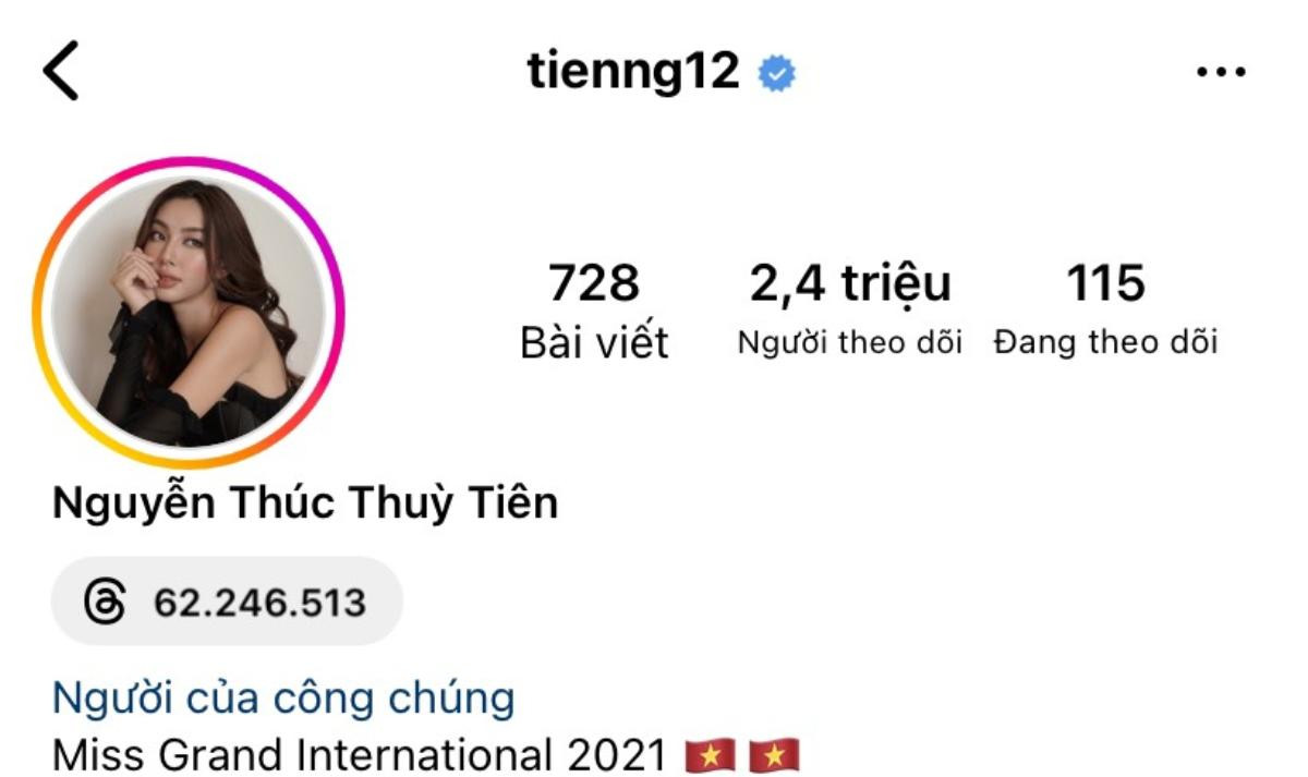 Từng mờ nhạt trong nước, loạt nàng hậu Việt được quốc tế hết lời khen ngợi Ảnh 4