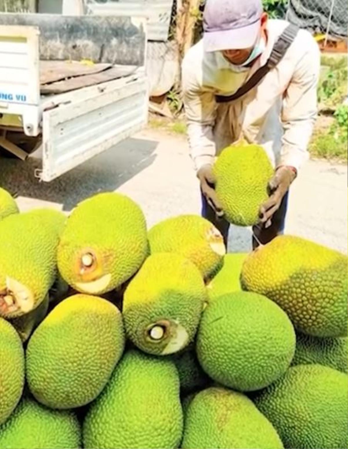 Tin lời quảng cáo mít cực ngon ngọt, thanh niên mua về rồi bổ ra và cái kết Ảnh 1