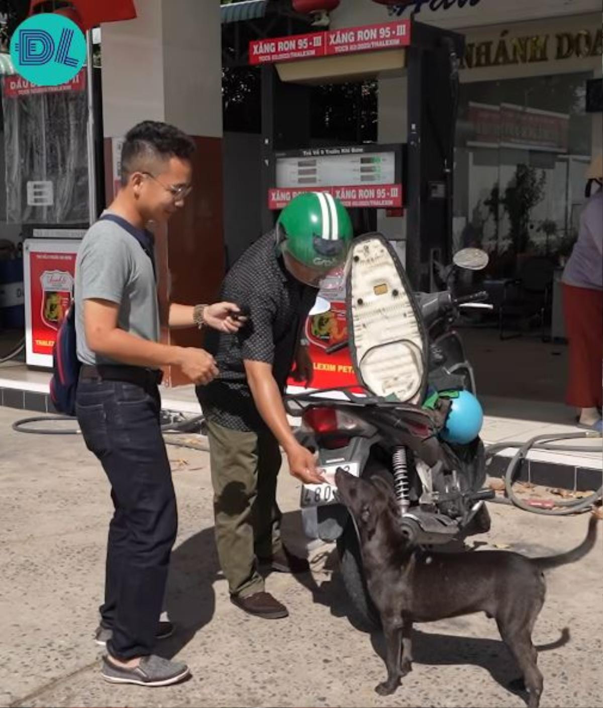 Độc lạ Bình Dương: Chú chó được tuyển làm 'nhân viên thu ngân' ở cây xăng Ảnh 1