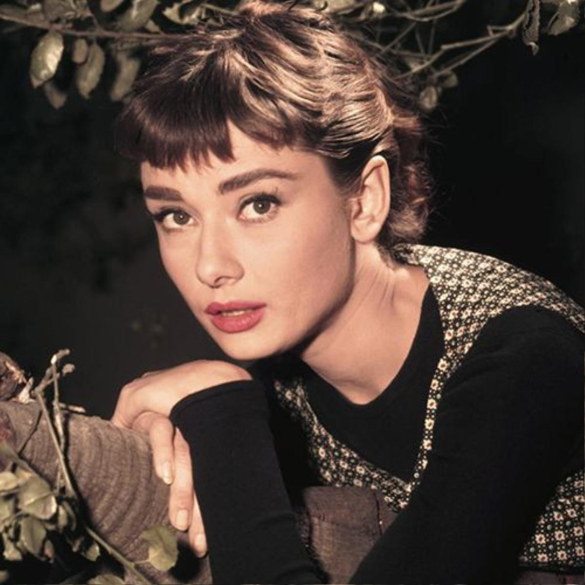 Mở khóa bí quyết làm đẹp của huyền thoại nhan sắc Audrey Hepburn Ảnh 4