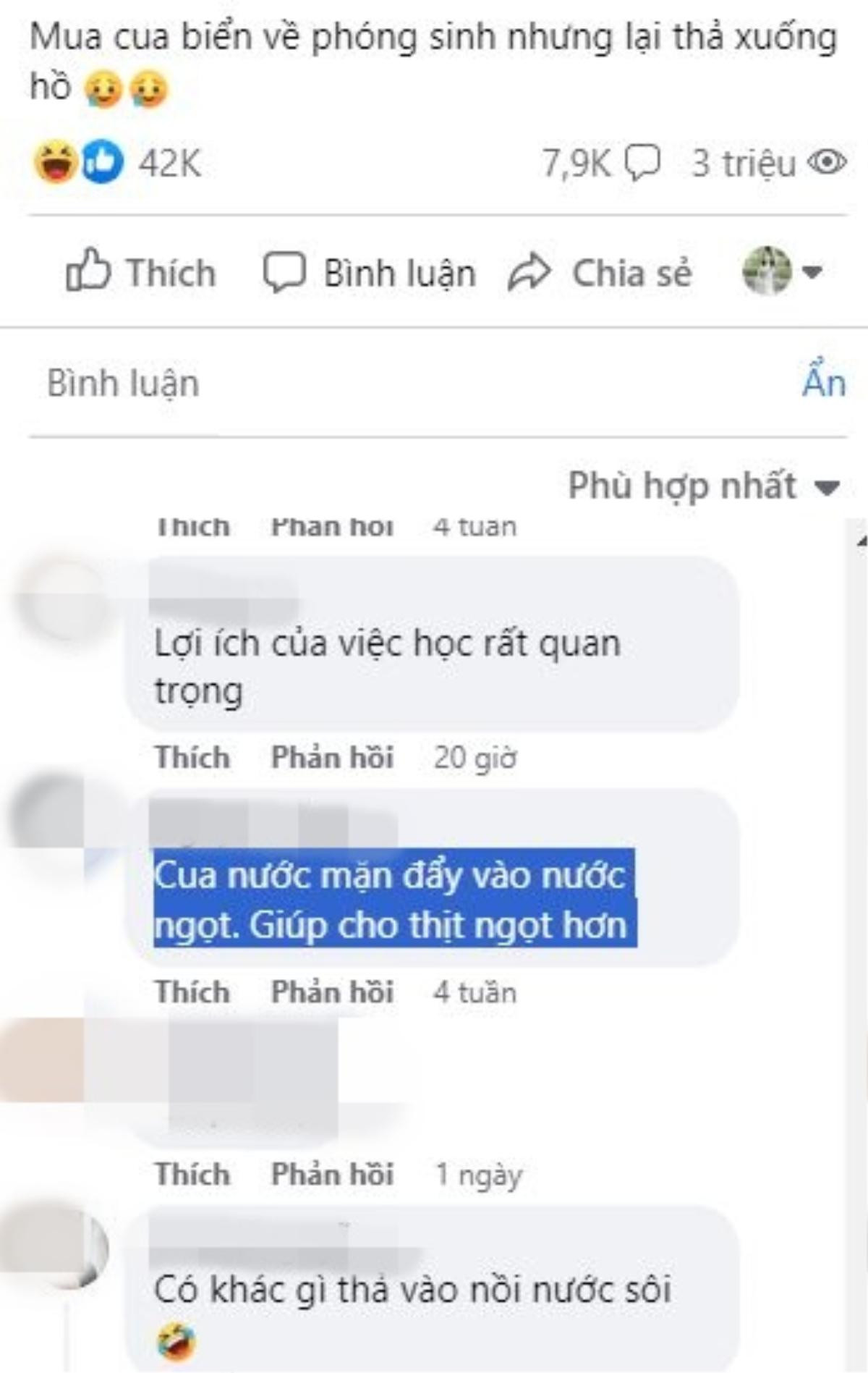 Có gì trong clip cô gái phóng sinh cua biển xuống hồ thu hút 3 triệu lượt xem? Ảnh 2