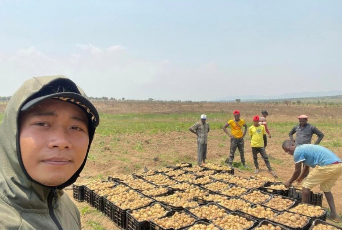 Team Quang Linh thu hoạch khoai tây bán 'cháy hàng', bất ngờ số tiền nhận về Ảnh 5