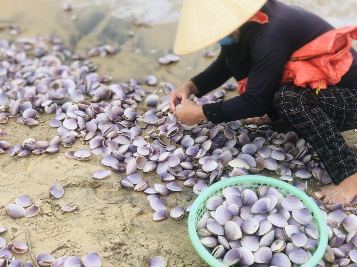 'Lộc biển' dạt vào bờ biển Hà Tĩnh dày đặc, người dân đổ xô đi nhặt Ảnh 3