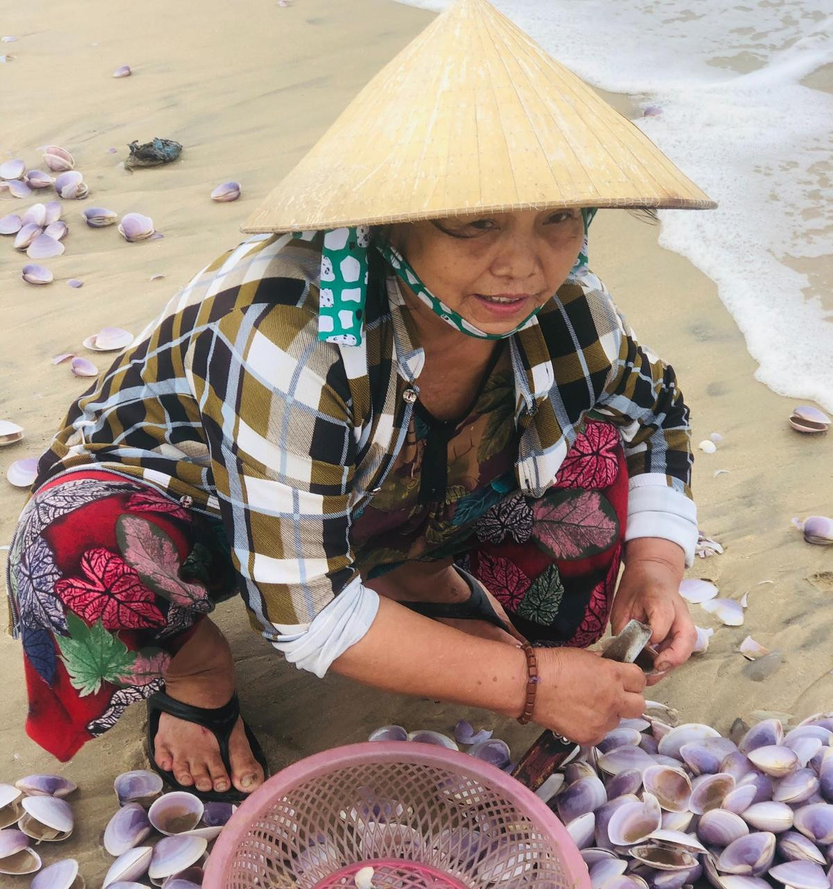 'Lộc trời' dạt vào bờ biển, bà con Hà Tĩnh đổ xô đi nhặt thu tiền triệu mỗi ngày Ảnh 3