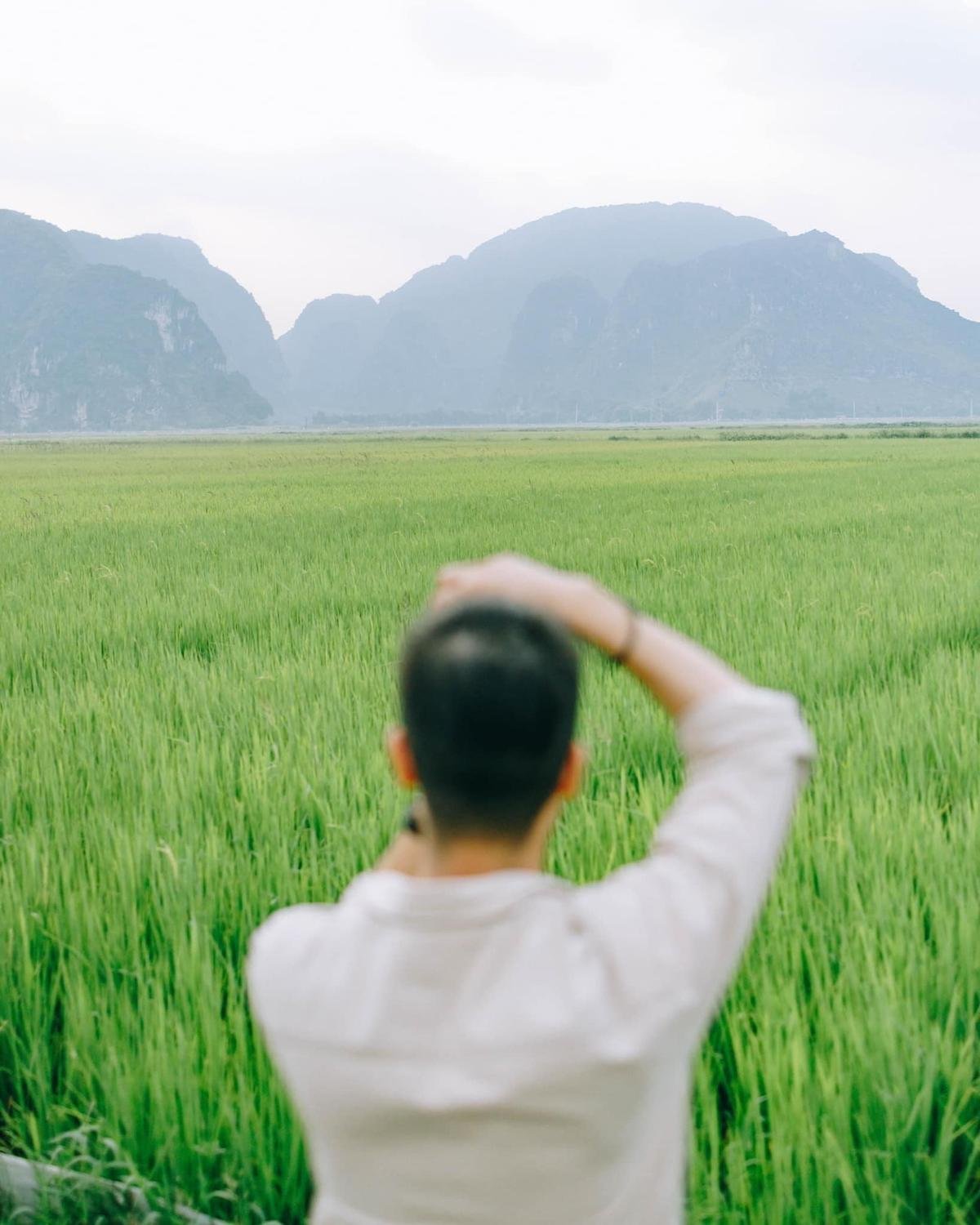 Đẹp nao lòng mùa thu Ninh Bình: Thôn quê yên bình, đồng xanh biêng biếc Ảnh 16