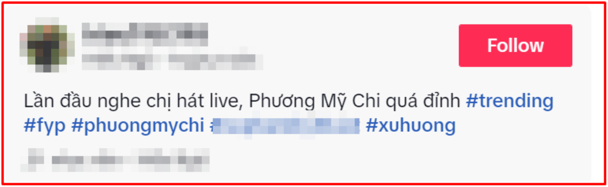 Một khán giả lần đầu được nghe Phương Mỹ Chi hát live, có nhận xét về nữ ca sĩ Ảnh 2