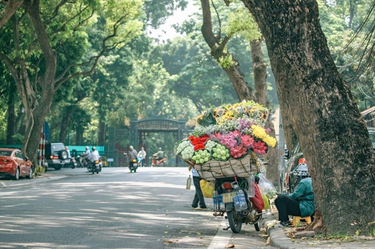 Trước khi đón đợt gió mùa đông Bắc cực mạnh, thời tiết miền Bắc thế nào? Ảnh 1