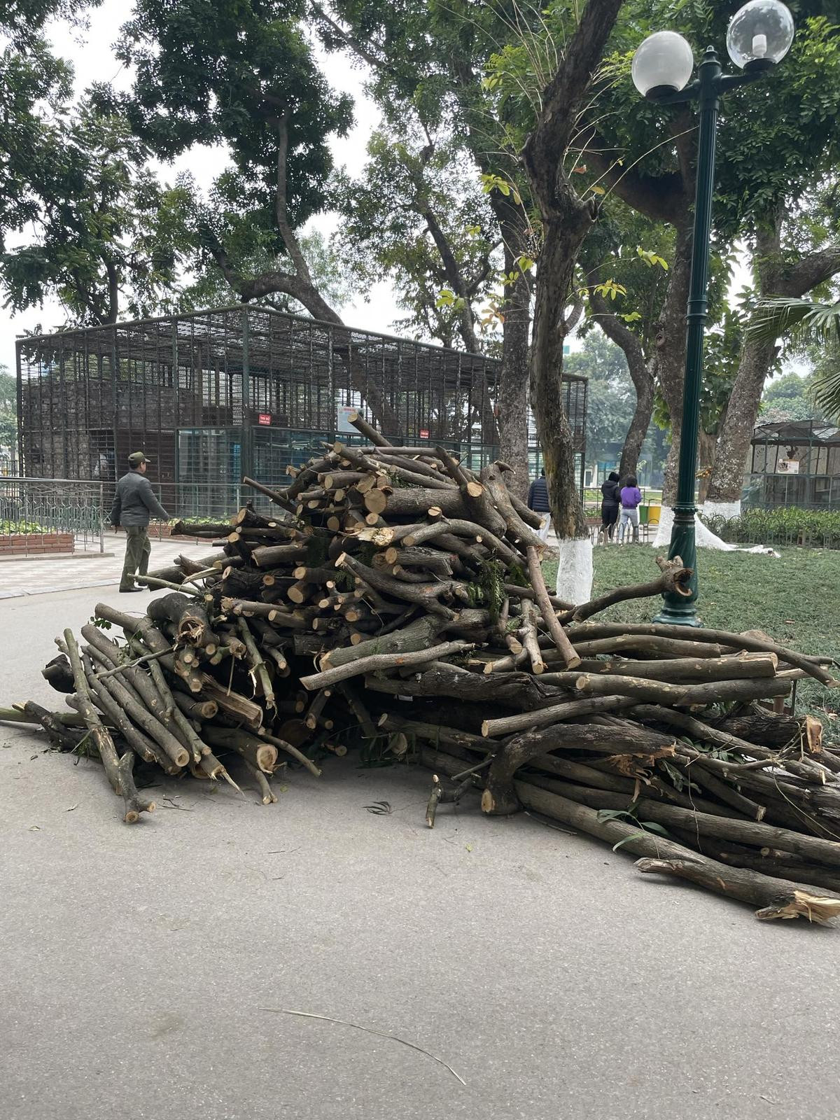 Sự thật bên trong sở thú Hà Nội những ngày rét 10 độ C: Động vật có 'co ro trong giá rét' như lời đồn? Ảnh 4