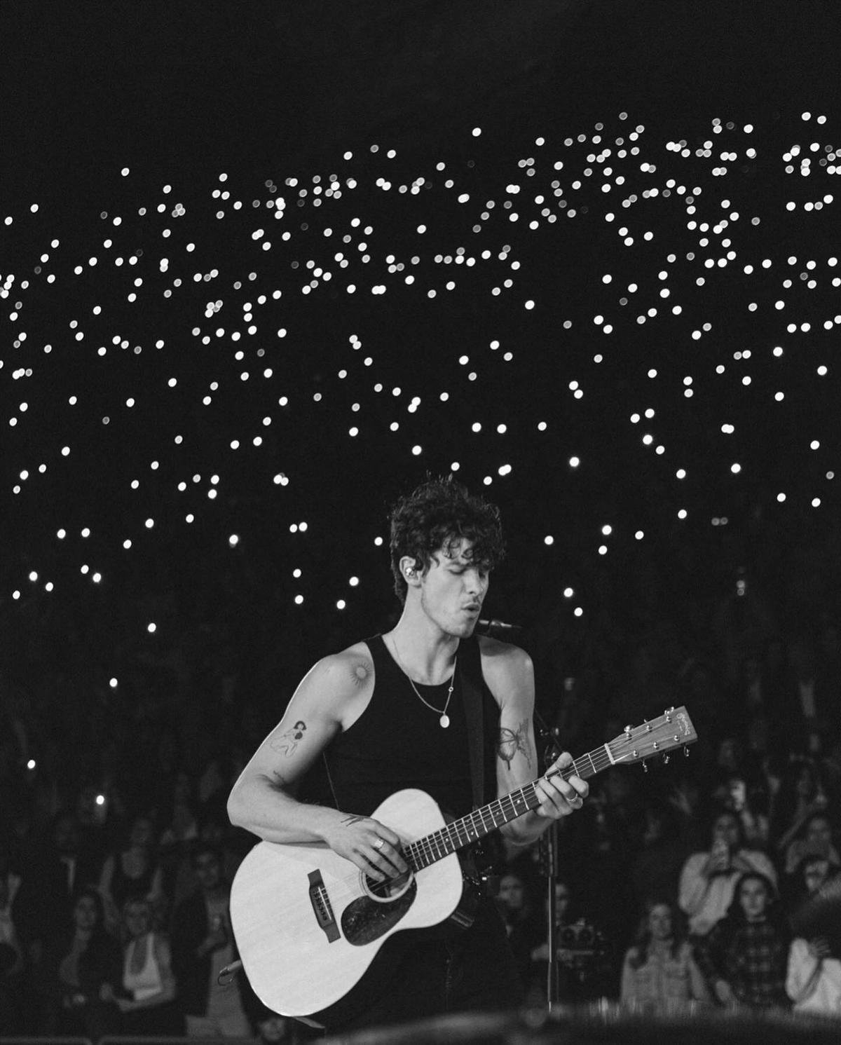 Shawn Mendes công khai bạn trai? Ảnh 1