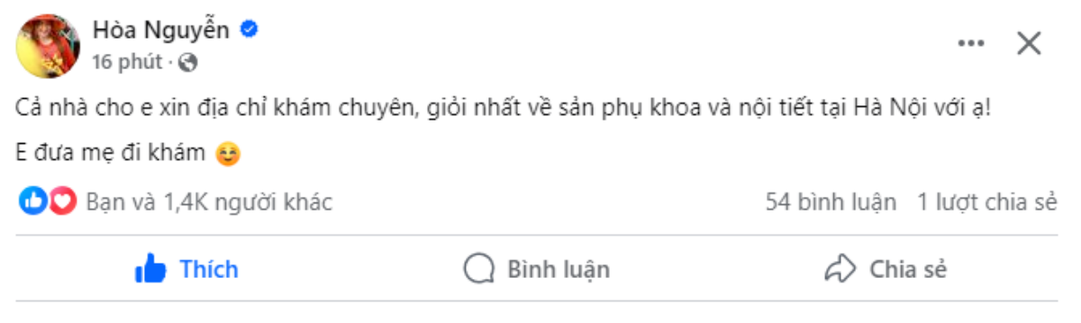 Hòa Minzy đăng đàn nhờ giúp đỡ, lý do có liên quan đến mẹ Ảnh 1