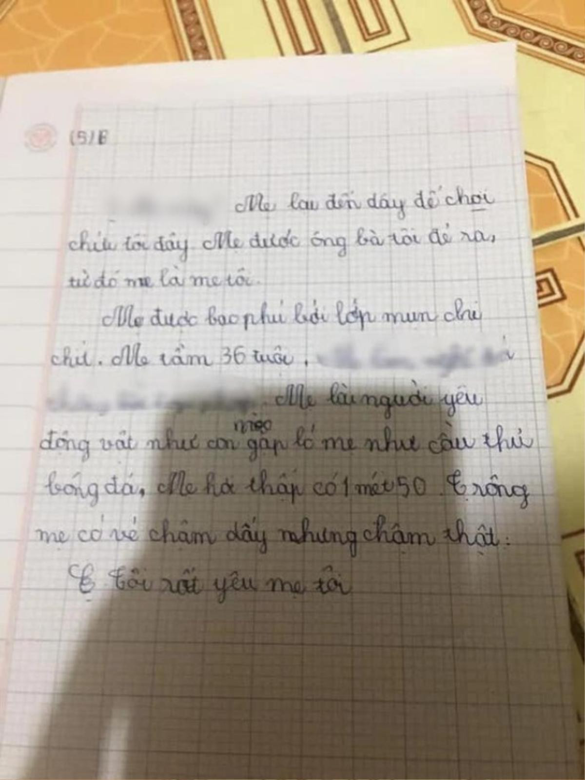 Bài văn tả mẹ với hàng loạt điểm xấu, còn chốt hạ câu kết cực đặc biệt Ảnh 1