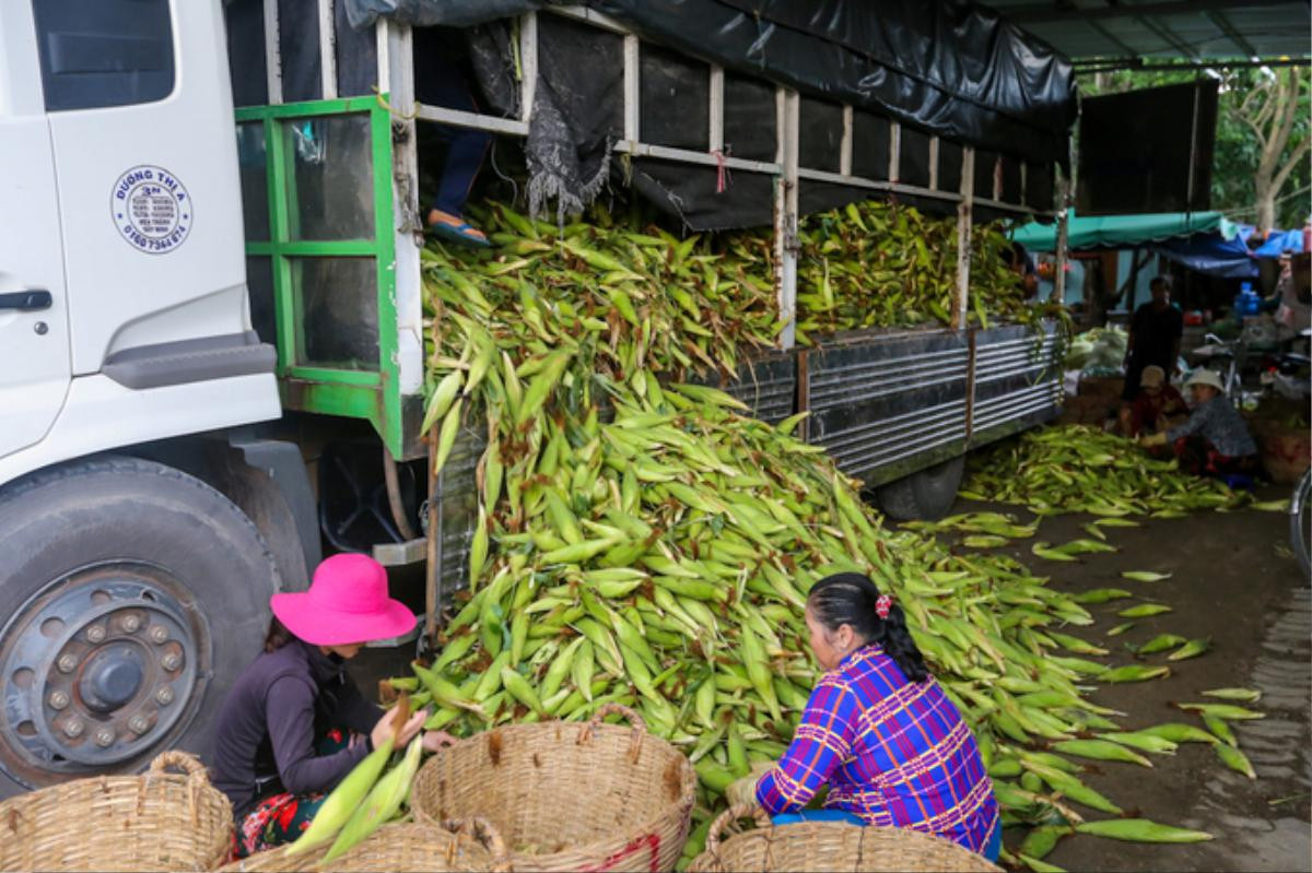 Khu chợ tồn tại 20 năm ở Sài Gòn: Chỉ bán duy nhất 1 mặt hàng nhưng khách nườm nượp Ảnh 1