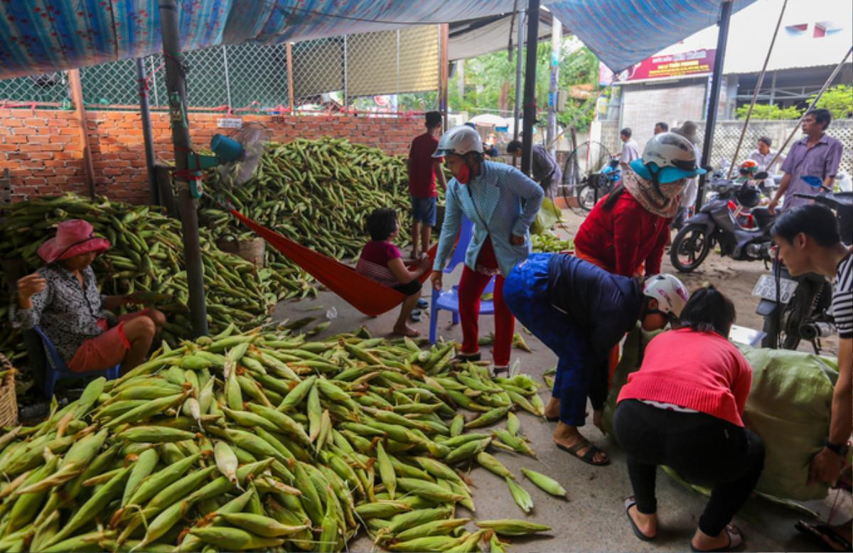 Khu chợ tồn tại 20 năm ở Sài Gòn: Chỉ bán duy nhất 1 mặt hàng nhưng khách nườm nượp Ảnh 2