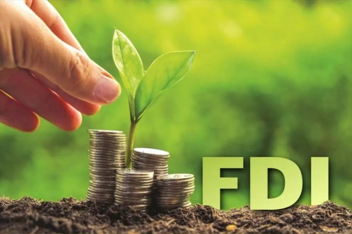 Việt Nam có nhiều lợi thế thu hút dòng vốn FDI xanh Ảnh 3