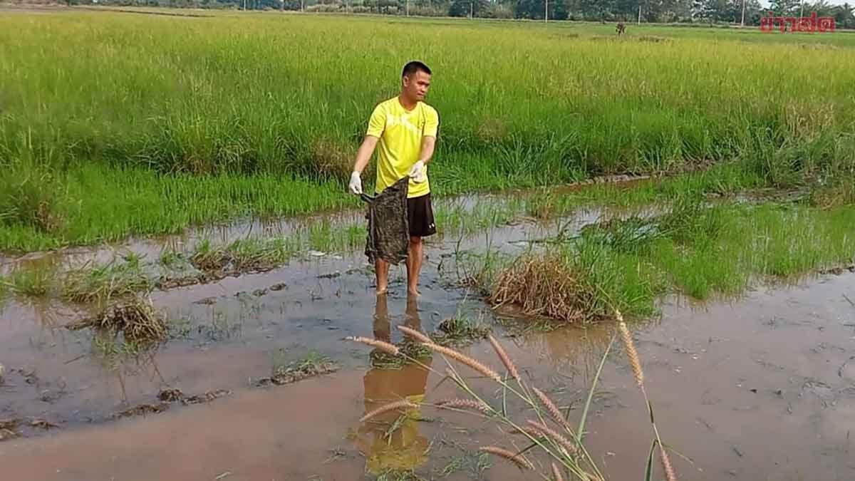 Người đàn ông được thuê cày ruộng, bàng hoàng khi mò trúng một thứ chìm dưới nước Ảnh 1