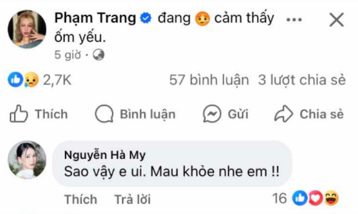 Tình trạng bất ổn của Xoài Non Ảnh 1