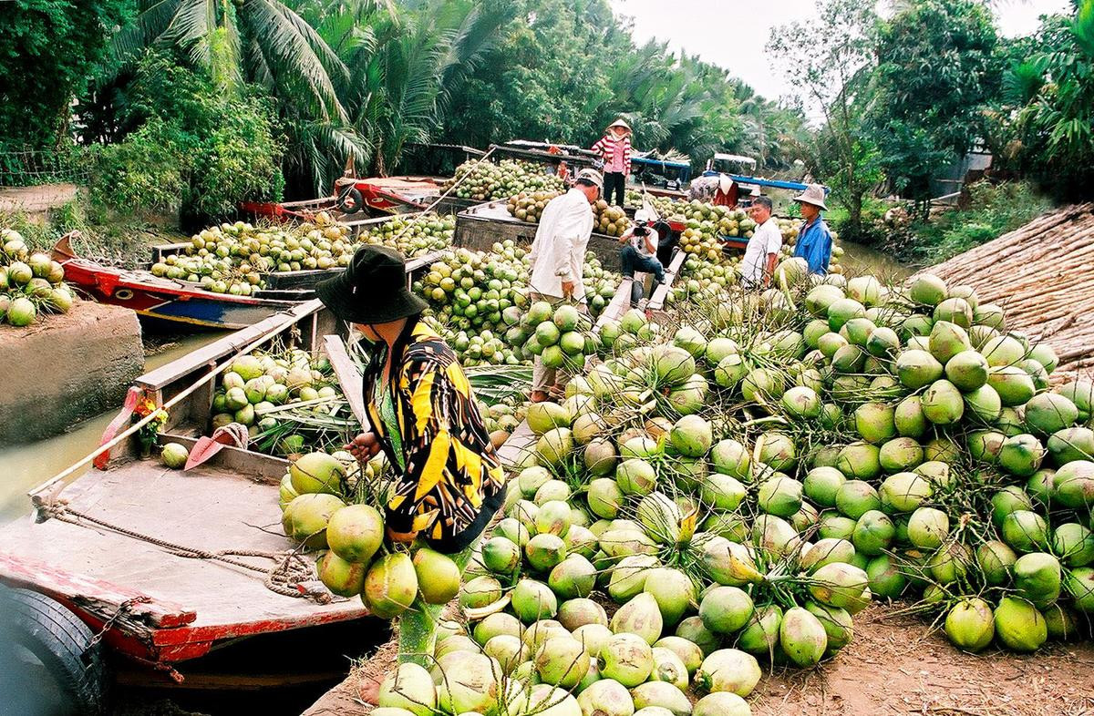 Khu chợ quanh năm chỉ bán duy nhất một đặc sản Bến Tre, lúc nào cũng tấp nập khách Ảnh 1