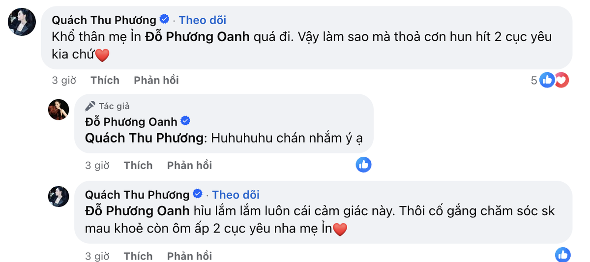 Tình trạng hiện tại của Phương Oanh Ảnh 2