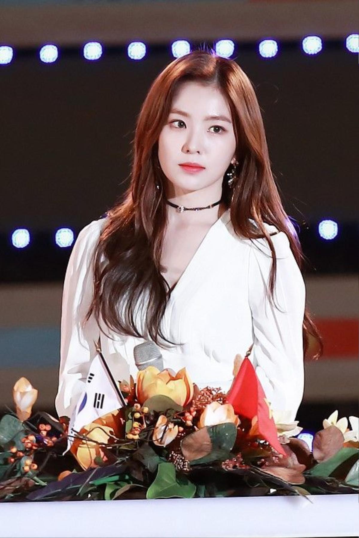 Irene (Red Velvet) bị chỉ trích Ảnh 1