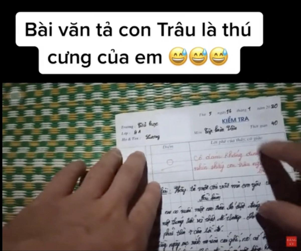 Bài văn tả con trâu bị điểm 0, cô giáo còn để lại lời phê gay gắt Ảnh 1