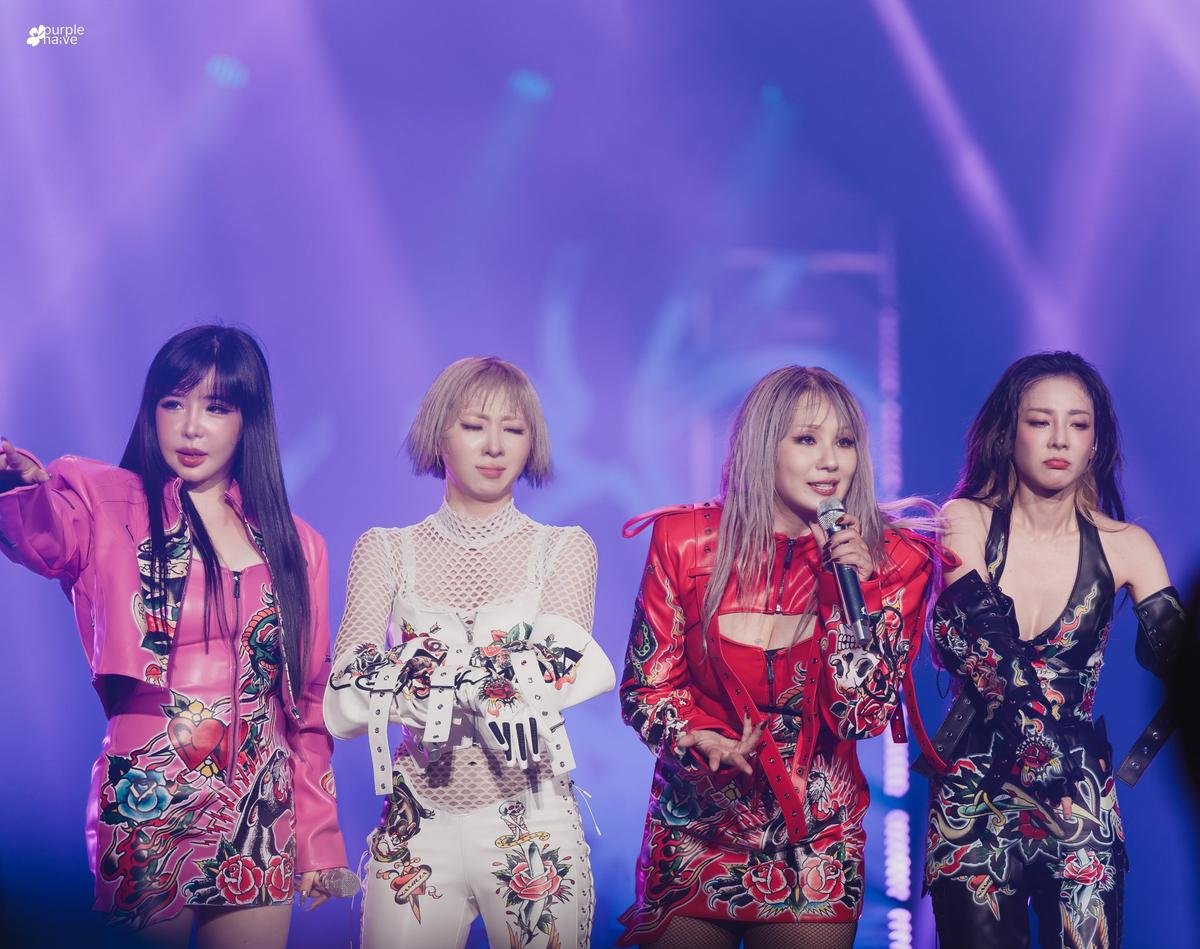 2NE1 chính thức trở lại SBS Gayo Daejeon sau 10 năm Ảnh 1