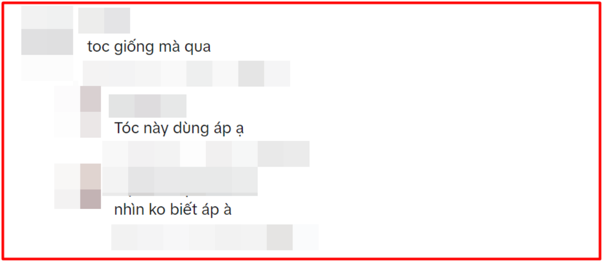 Nhật Kim Anh thay đổi diện mạo đón Tết, dân mạng suýt không nhận ra? Ảnh 1