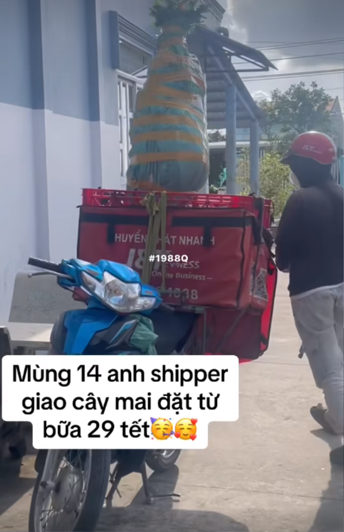 Đặt cây mai từ hôm 29 Tết, chủ nhà chán không buồn nói khi thấy shipper giao hàng Ảnh 1